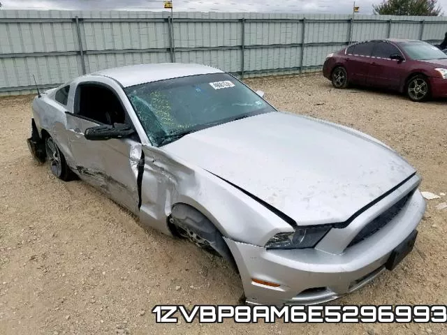 1ZVBP8AM6E5296993