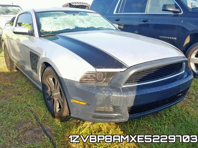 1ZVBP8AMXE5229703