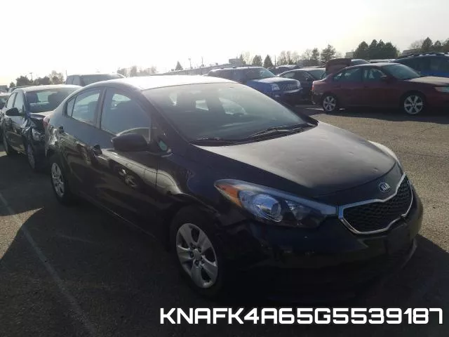 KNAFK4A65G5539187