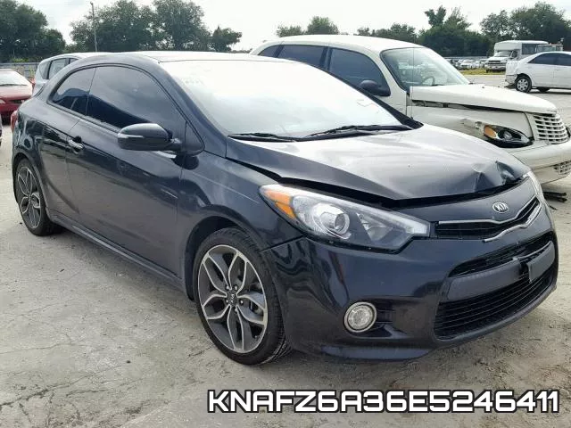 KNAFZ6A36E5246411