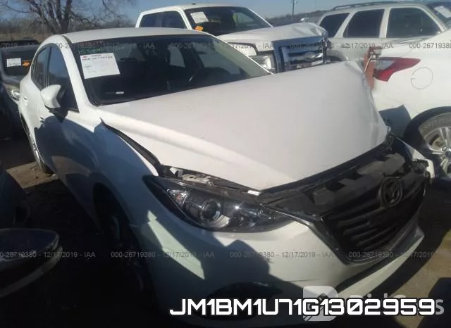 JM1BM1U71G1302959