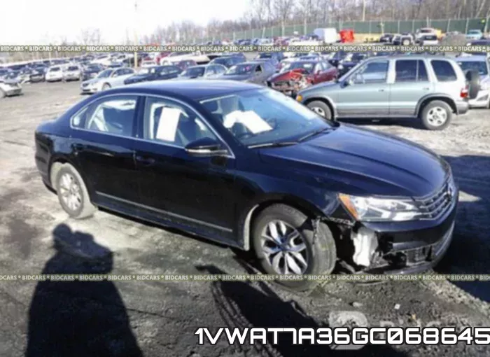 1VWAT7A36GC068645