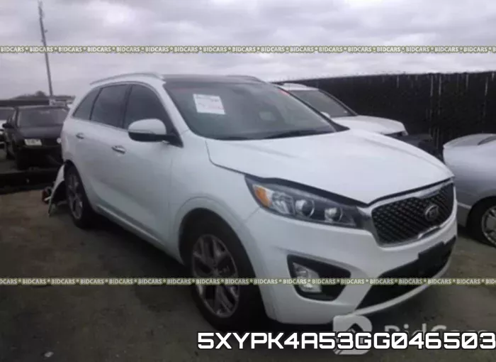 5XYPK4A53GG046503