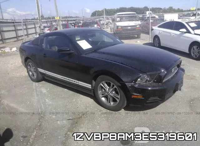 1ZVBP8AM3E5319601