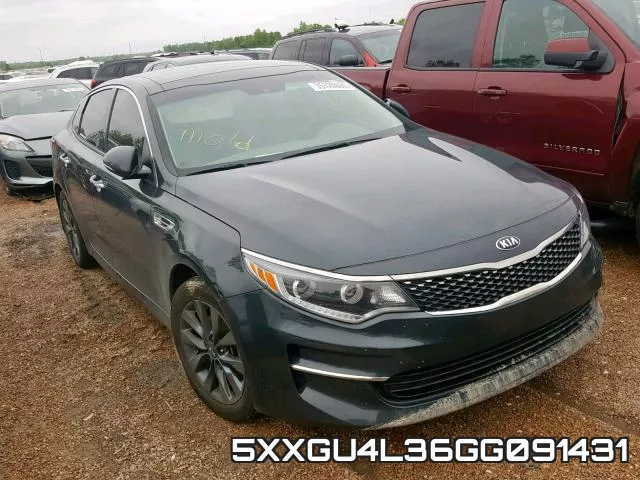 5XXGU4L36GG091431