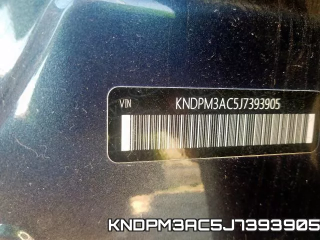 KNDPM3AC5J7393905_10.webp