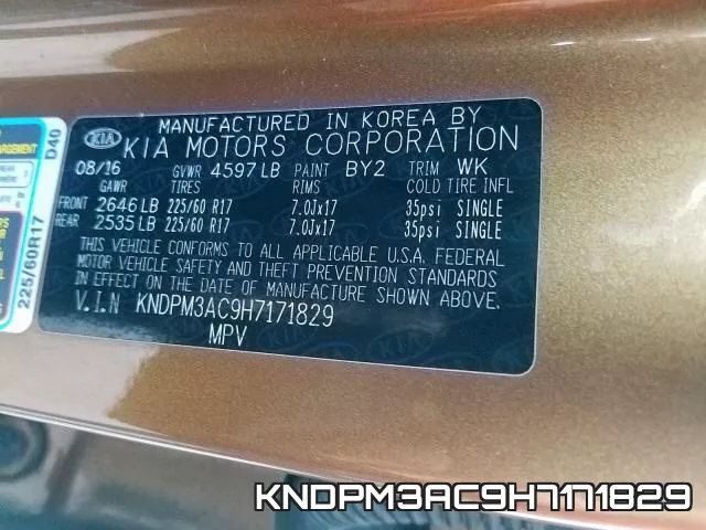 KNDPM3AC9H7171829_10.webp