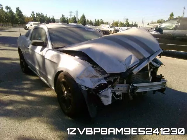 1ZVBP8AM9E5241230