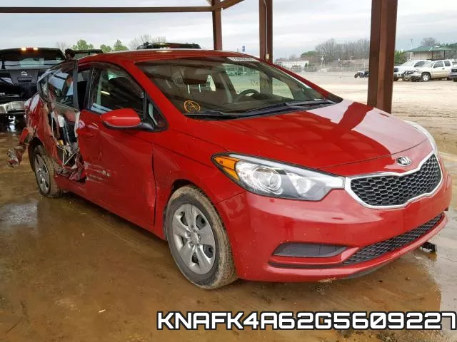KNAFK4A62G5609227