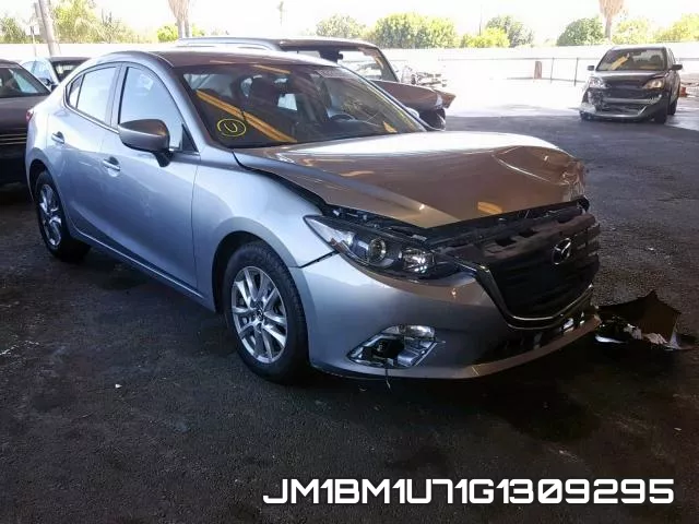 JM1BM1U71G1309295