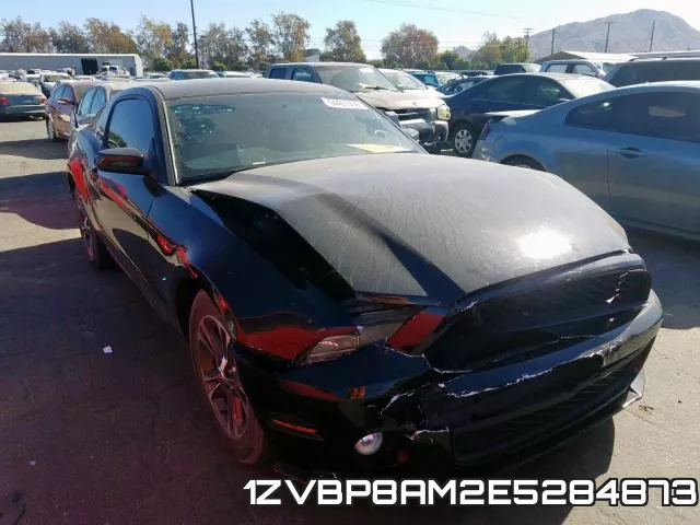 1ZVBP8AM2E5284873
