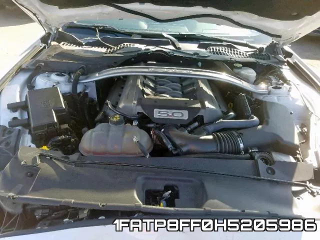 1FATP8FF0H5205986_7.webp