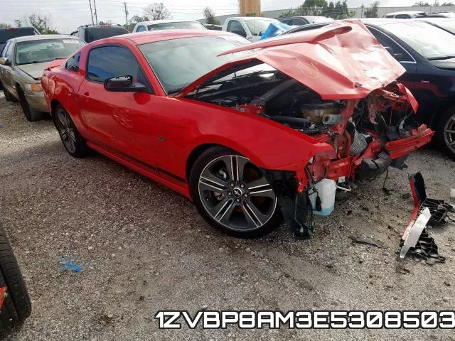 1ZVBP8AM3E5308503