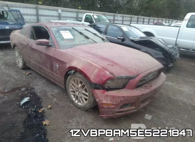 1ZVBP8AM5E5221847