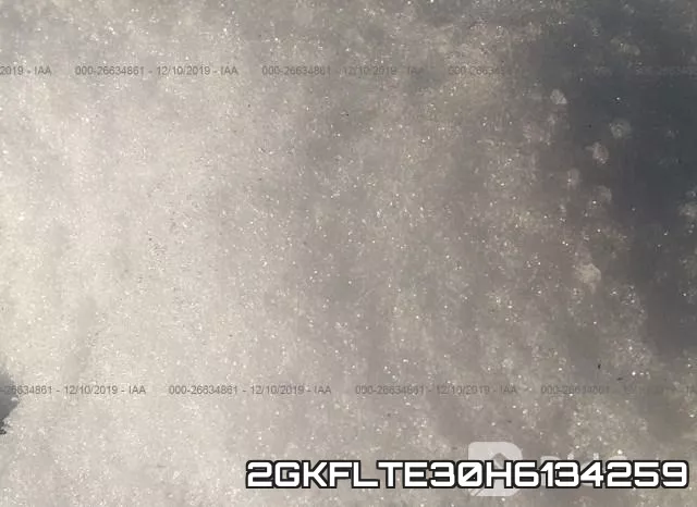 2GKFLTE30H6134259_9.webp