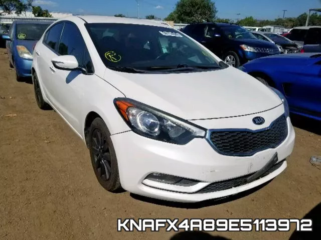 KNAFX4A89E5113972