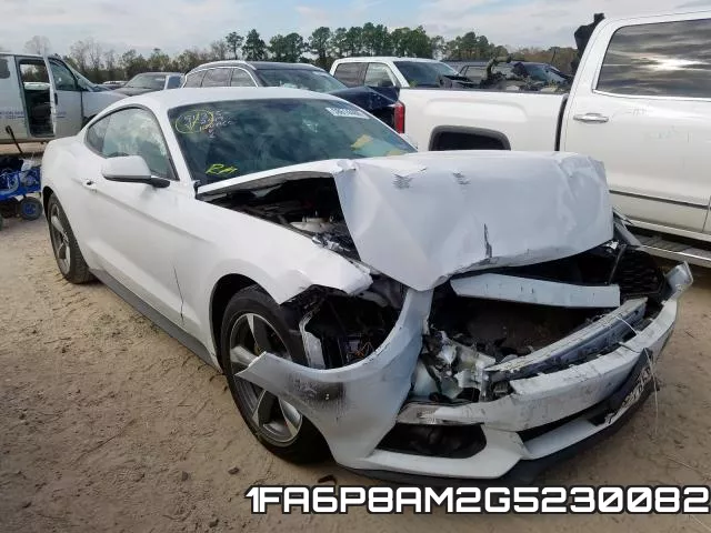 1FA6P8AM2G5230082
