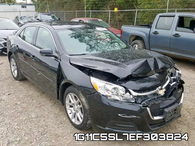 1G11C5SL7EF303824