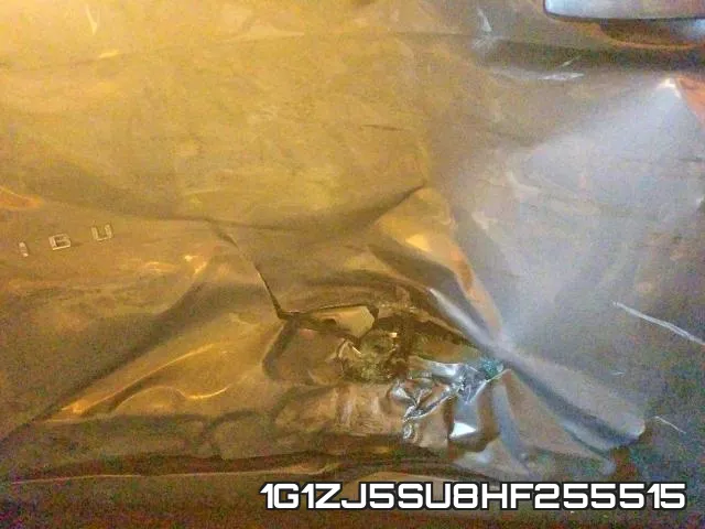 1G1ZJ5SU8HF255515_9.webp