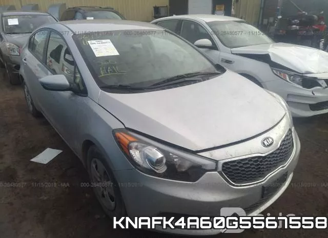 KNAFK4A60G5567558