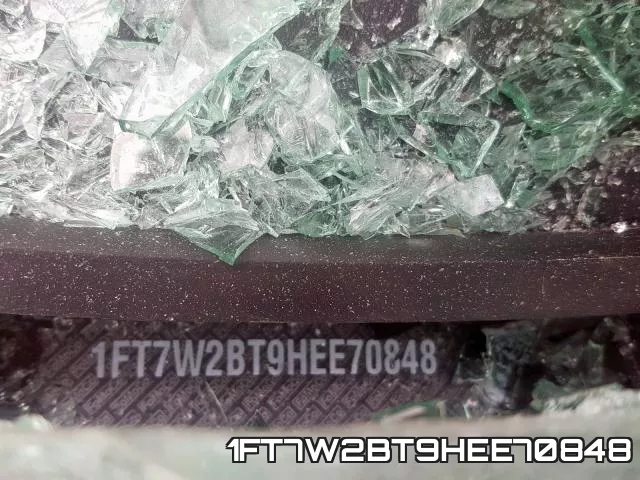 1FT7W2BT9HEE70848_10.webp