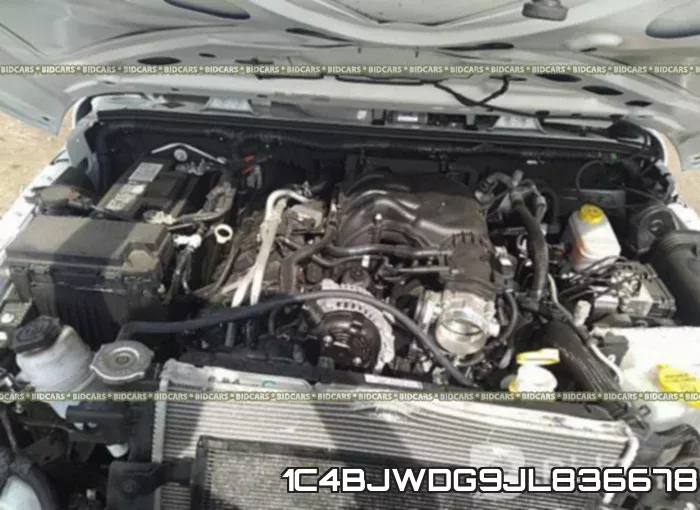1C4BJWDG9JL836678_10.webp