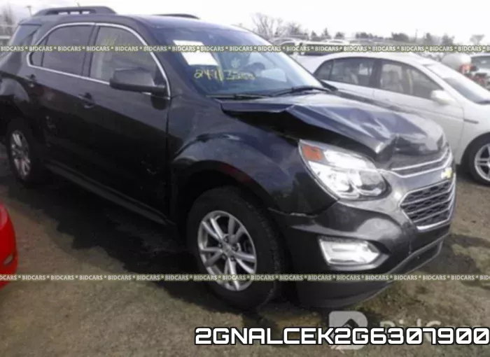 2GNALCEK2G6307900
