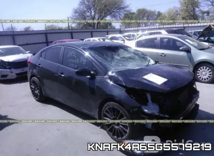 KNAFK4A65G5579219
