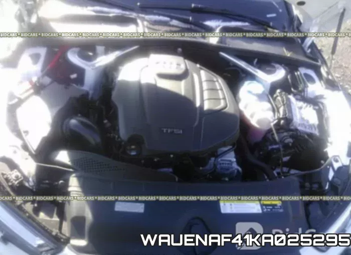 WAUENAF41KA025295
