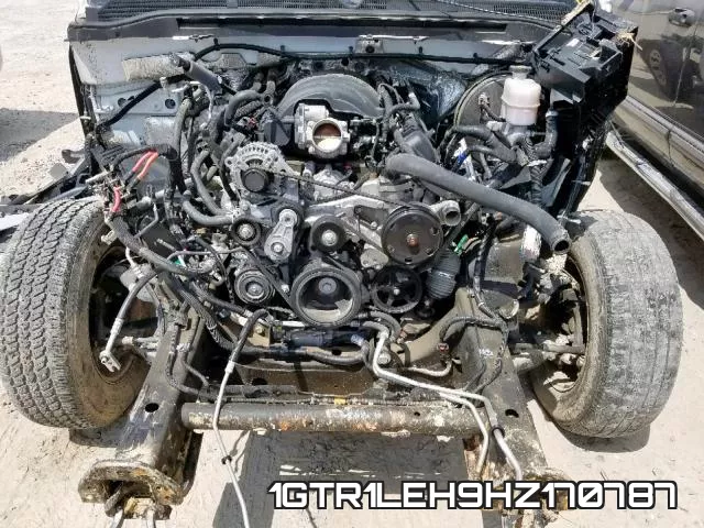 1GTR1LEH9HZ170787_7.webp