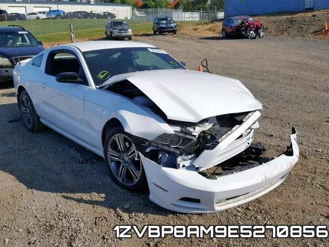 1ZVBP8AM9E5270856