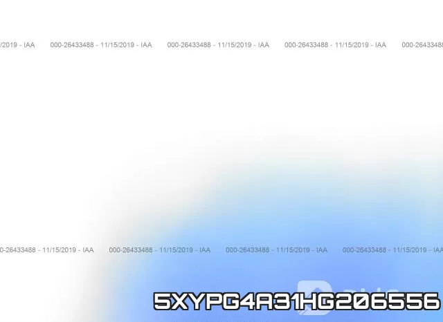 5XYPG4A31HG206556_10.webp