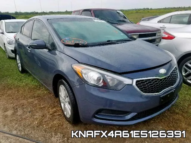 KNAFX4A61E5126391