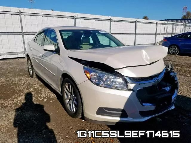 1G11C5SL9EF174615