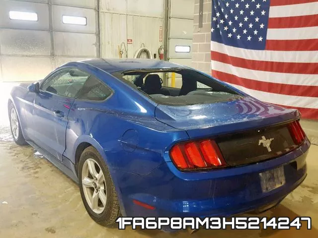 1FA6P8AM3H5214247_3.webp
