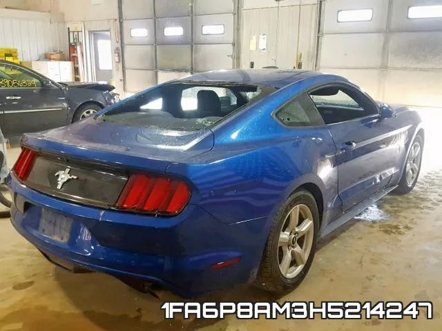1FA6P8AM3H5214247_4.webp