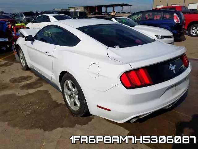 1FA6P8AM7H5306087_3.webp
