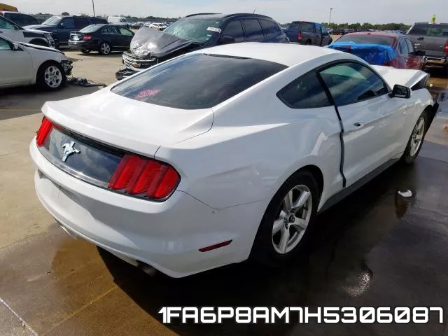 1FA6P8AM7H5306087_4.webp