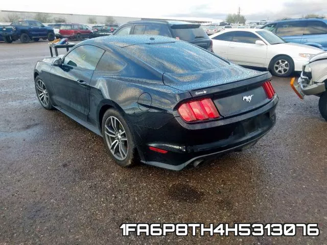 1FA6P8TH4H5313076_3.webp