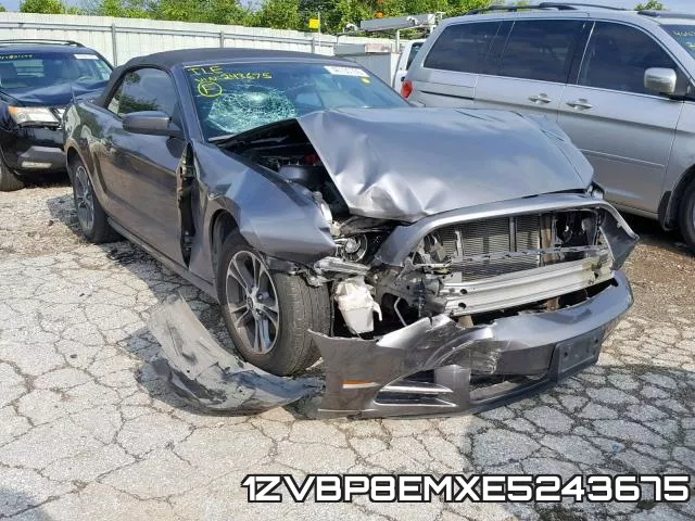 1ZVBP8EMXE5243675