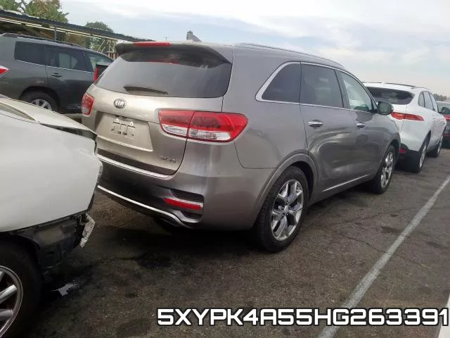 5XYPK4A55HG263391_4.webp
