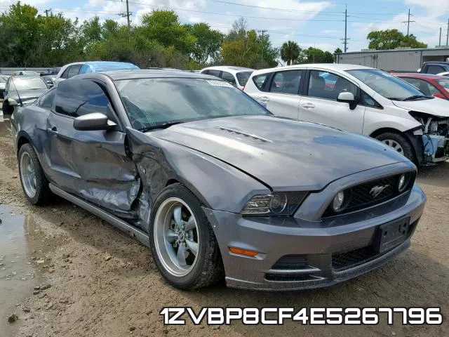 1ZVBP8CF4E5267796