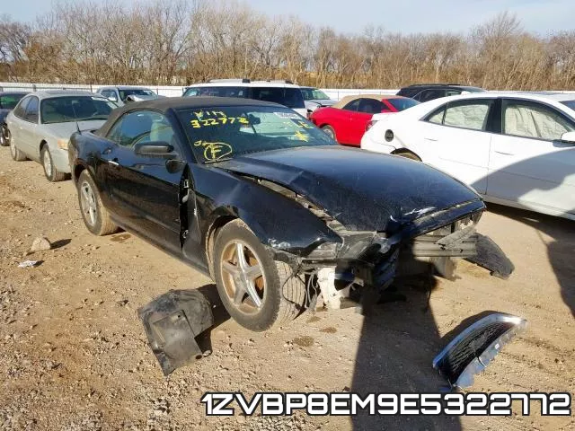 1ZVBP8EM9E5322772