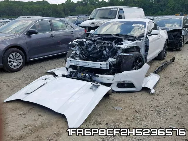 1FA6P8CF2H5236576_2.webp