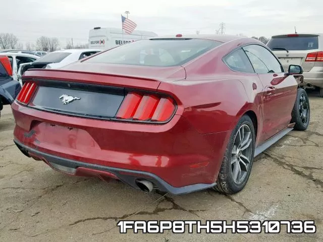 1FA6P8TH5H5310736