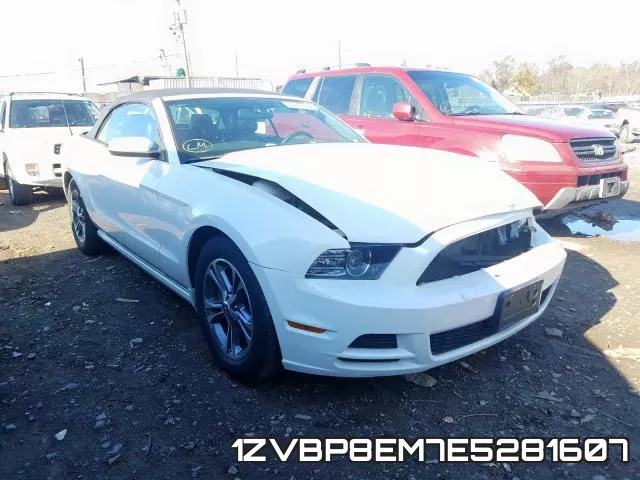 1ZVBP8EM7E5281607