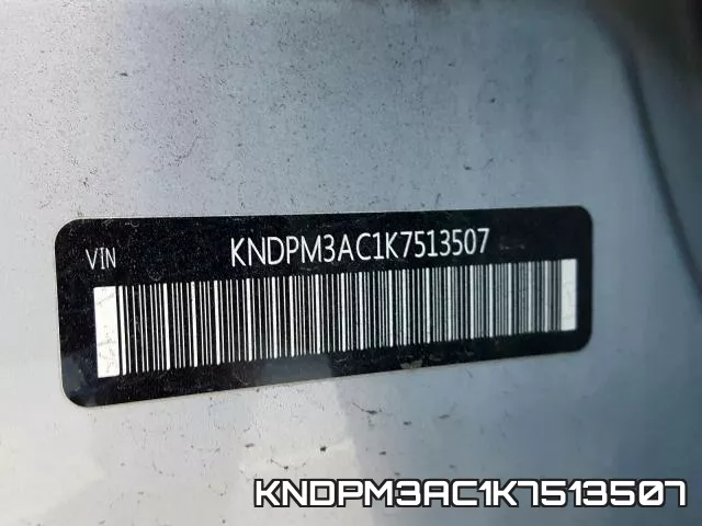 KNDPM3AC1K7513507_10.webp