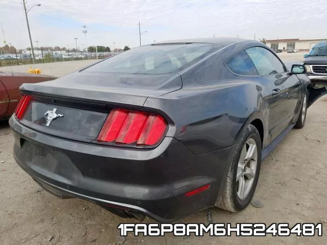 1FA6P8AM6H5246481_4.webp