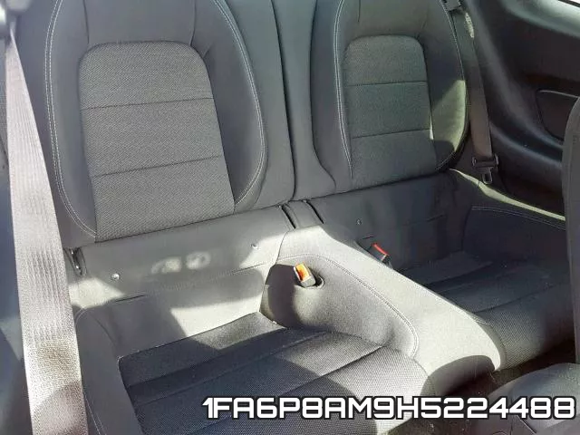 1FA6P8AM9H5224488_6.webp