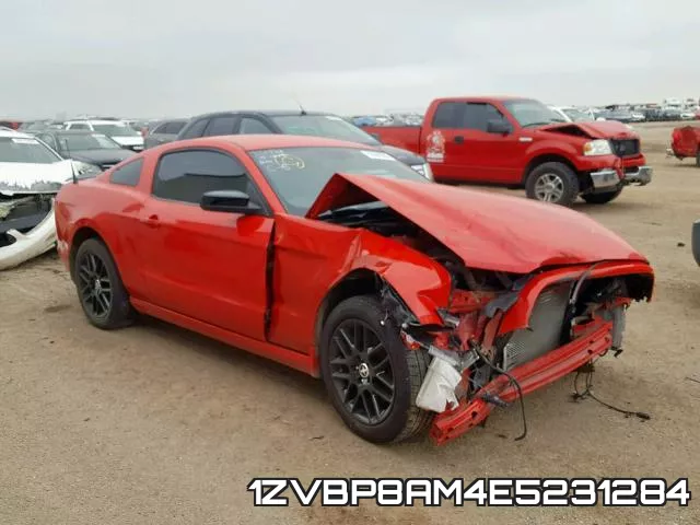 1ZVBP8AM4E5231284